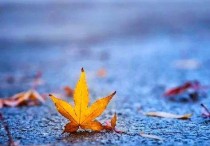 不要在忧虑不安中荒废了当下_一天一悟