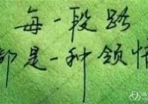 不求回报的付出，才是真善_一天一悟